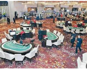 ayx大厅手机版2024最新版